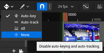 ../_images/advanced-camera-autokey-disable.png