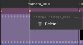 ../_images/advanced-camera-delete.png