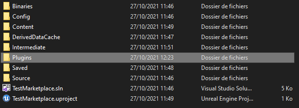 ../_images/UnrealEngineProjectFolder.png