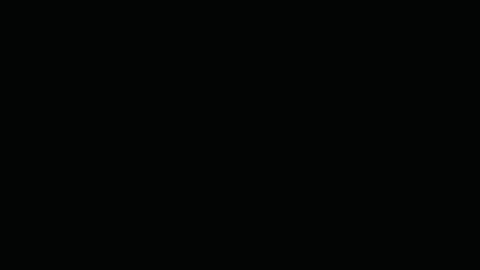 ../_images/interface-viewport-scale.gif