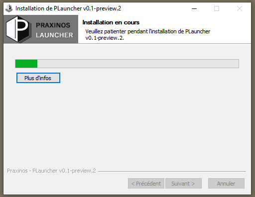 ../../_images/launcher-installation-windows5.png