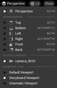 ../_images/Viewport_PerpectiveOptions.png