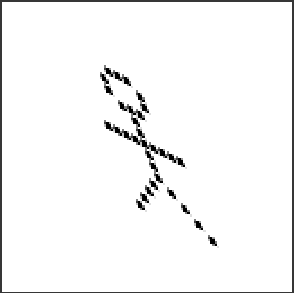 ../../../_images/odysseybrush-optimization-resampling-stickman-bilinear-shear.png